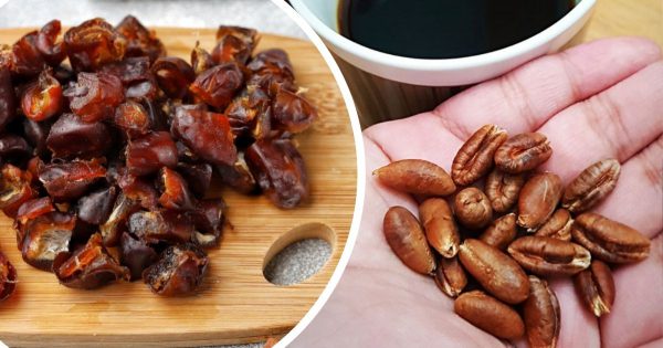 Cómo hacer café con semillas de dátil