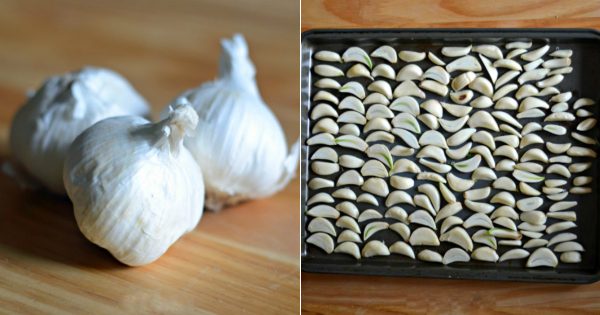 ¿Quieres crear tu propio sazonador especial? Comienza por preparar este polvo… ¡Te va a encantar!