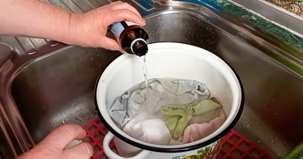 Cómo hacer que los viejos paños de cocina queden muy limpios y blancos