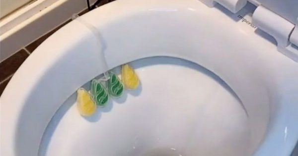 Cómo ajustar el ambientador de inodoro