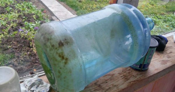 Cómo lavar la botella de la suciedad y la vegetación. Cómo lavar la botella de la suciedad y la vegetación.