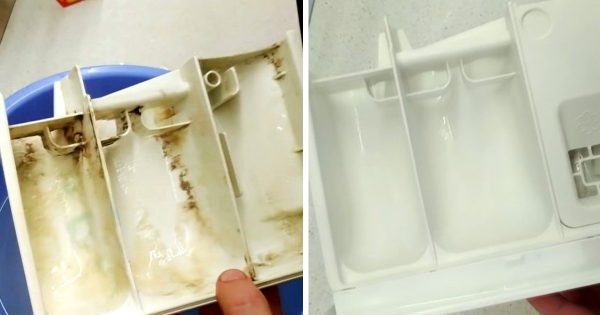 Cómo lavar la bandeja de la lavadora Cómo lavar la bandeja de la lavadora