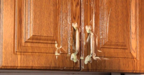 Cómo lavar los casilleros de la grasa: 3 productos presupuestarios a tu disposición.