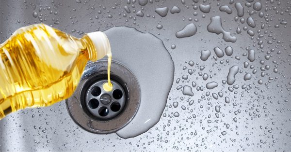 ¿Por qué deberías tirar aceite de girasol por el fregadero?