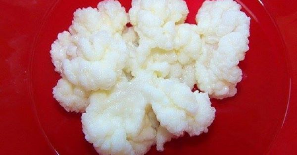 Remedios caseros: Limpieza del intestino de manera natural.