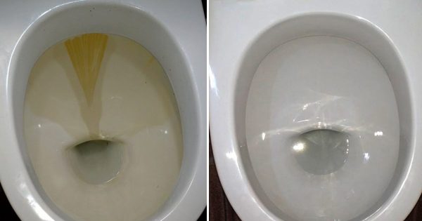 Una anfitriona diligente ha compartido la receta de un producto altamente efectivo para limpiar el inodoro Una anfitriona diligente ha compartido la receta de un producto altamente efectivo para limpiar el inodoro