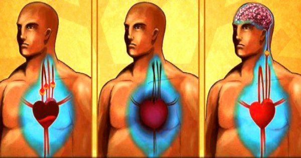 Consejos de la medicina tradicional: Cómo limpiar los vasos sanguíneos.