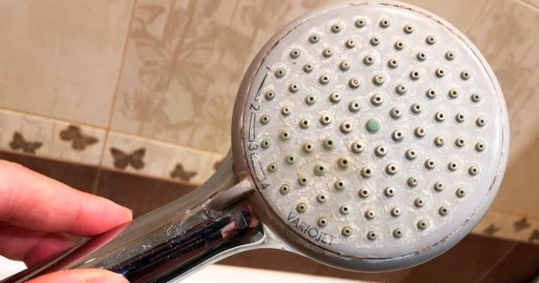 Cómo limpiar un cabezal de ducha: una forma sencilla y eficaz