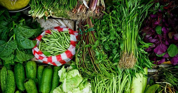 Cómo mantener frescas las verduras