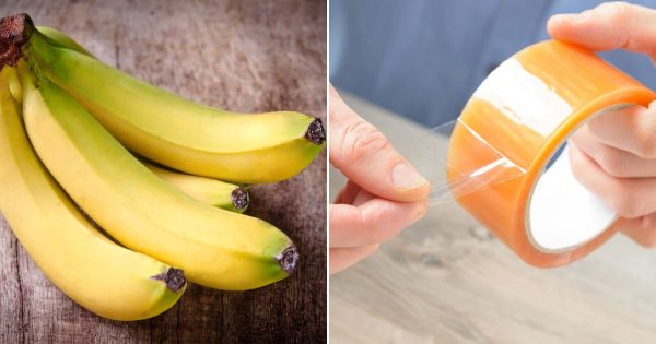 Cómo mantener frescas las bananas: el truco de la cinta adhesiva