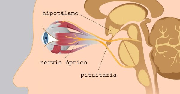 8 pasos para mejorar y restaurar la visión. ¡Funciona incluso si usas anteojos! 8 pasos para mejorar y restaurar la visión. ¡Funciona incluso si usas anteojos!