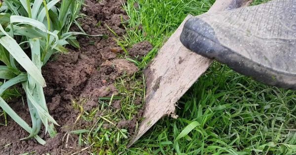 Cómo reemplazar el borde de piedra alrededor de un macizo de flores