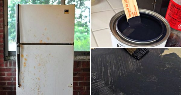 Cómo renovar un refrigerador.