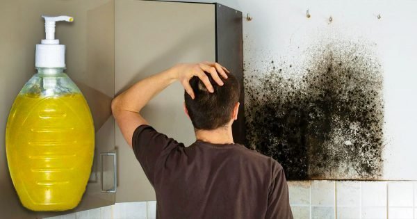 Remedio contra el moho