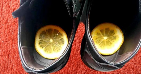 Cómo quitar el olor de los zapatos