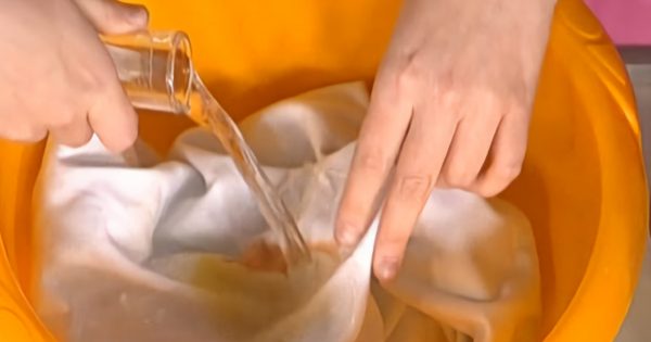 ¿Quieres ahorrarte la ida a la lavandería? Observa la clase magistral de esta señora… ¡Increíble!