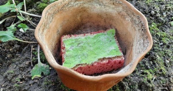 ¿Por qué colecciono viejas esponjas para lavar platos y no me atrevo a tirarlas?