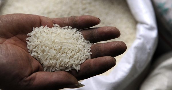 ¿Aun tienes dudas? He aquí las 3 maneras ingeniosas para verificar la calidad del arroz.