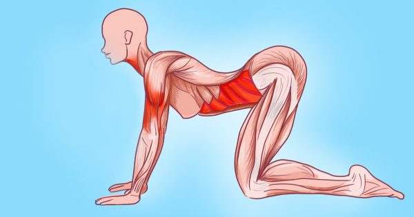7 ejercicios del sanador japonés Katsuzo Nishi, que pueden hacer maravillas con el cuerpo femenino. 7 ejercicios del sanador japonés Katsuzo Nishi, que pueden hacer maravillas con el cuerpo femenino.