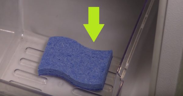 Consejos culinarios sencillos