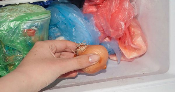 Para qué poner cebollas en el congelador