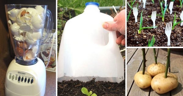 Quince consejos para los aficionados campestres