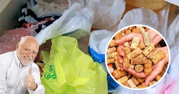 ¡9 cosas que no deben ser arrojadas de ninguna manera! La razón realmente merece especial atención.