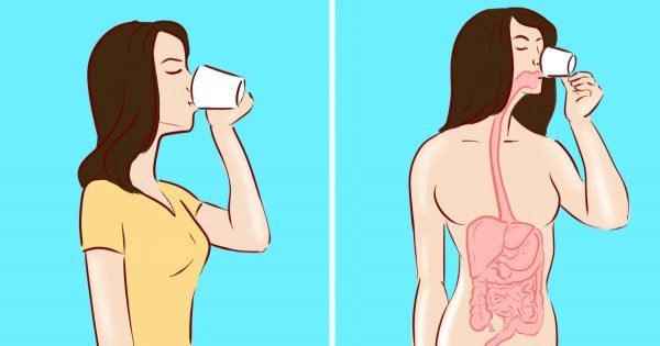 9 cosas que no puedes hacer con el estómago vacío…