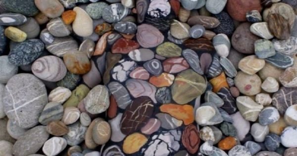 Entre las piedras y el follaje, una mujer viva descansa… ¿Podrás descubrirla?