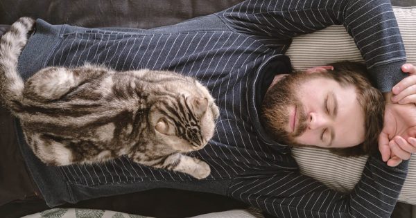 ¿Por qué los gatos duermen sobre la espalda de su dueño?