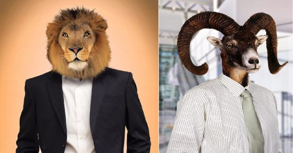 ¿Quién está destinado a ser el jefe? Los 4 signos más poderosos y astutos del zodíaco, según los astrólogos…