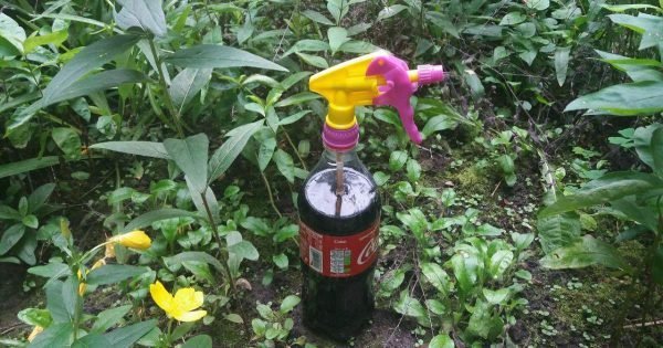 ¿Por qué compro litros «Coca-Cola» para mi casa de campo, pero no dejo que nadie la beba?