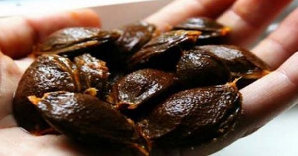 ¡La vitamina B17 fue prohibida… porque cura el cáncer y mata cualquier tumor maligno!