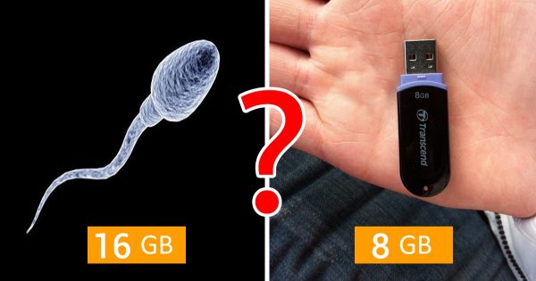 11 curiosidades extraordinarias sobre la esperma.