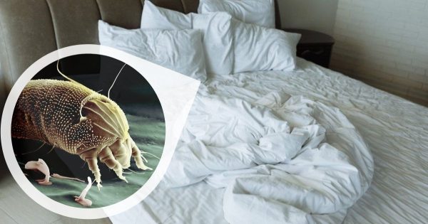 ¿Con qué frecuencia debe lavarse la ropa?