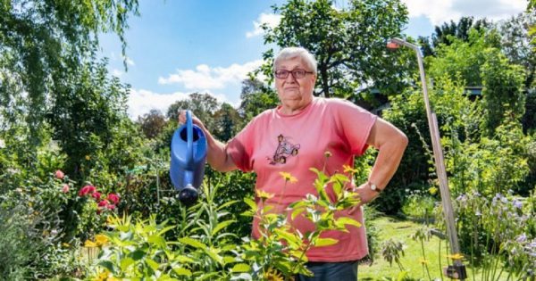 Dachas alemanas: qué prohibiciones y restricciones existen en ese país