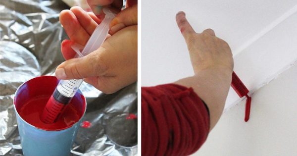 ¡Divertido experimento para los más audaces: cómo actualizar tu interior en 5 minutos!