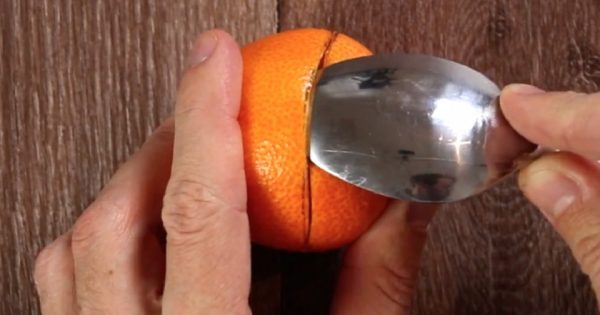 Decoración de mandarina: Un ambiente festivo de fragancia exquisita…