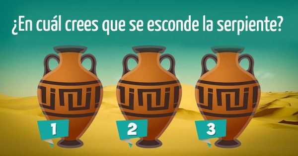 Para poner a prueba tu intuición, echa un vistazo a los jarrones y di cuál contiene la serpiente. Para poner a prueba tu intuición, echa un vistazo a los jarrones y di cuál contiene la serpiente.