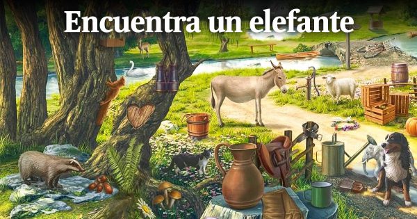 Una prueba para despertar tu mente de su sueño letárgico