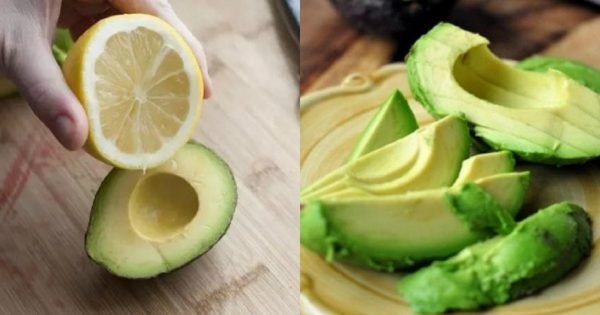 Aplicación de aguacate