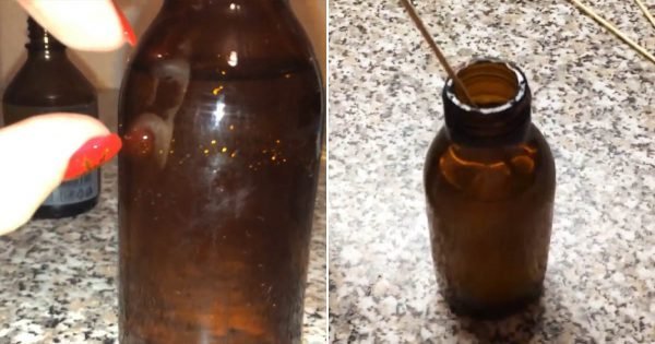 Qué hacer en casa para oler las ganancias y una vida cómoda en el aire