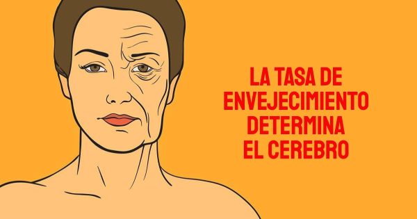 Reto al envejecimiento: ¡la vejez comienza con una señal del cerebro! Es importante mantener la edad psicológica. Reto al envejecimiento: ¡la vejez comienza con una señal del cerebro! Es importante mantener la edad psicológica.