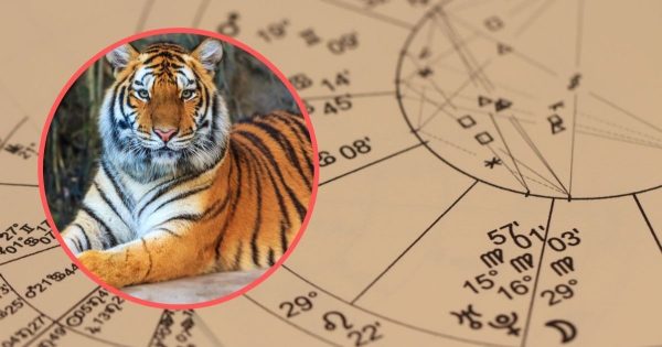 Quién tendrá suerte en el año del Tigre