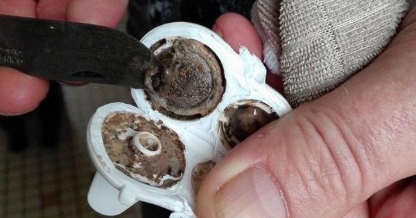 Ella no conseguía entender por qué su hijo se enfermaba tan a menudo… ¡Hasta que vio ESTO!