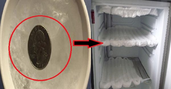 Al salir de casa, ella dejó una moneda en el congelador… Apartir de ahora voy a hacer lo mismo.