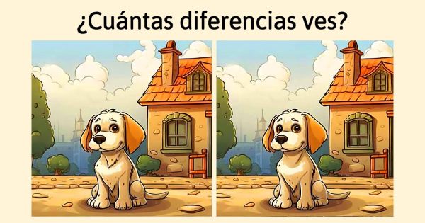 Test de atención Test de atención