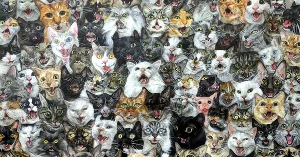 Encuentra al hámster escondido entre los gatos. No será fácil... Encuentra al hámster escondido entre los gatos. No será fácil...