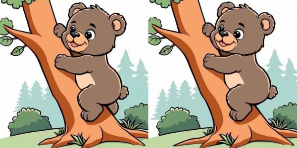 Una tarea para personas con una visión de águila Una tarea para personas con una visión de águila