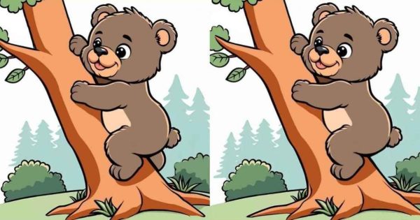 Una tarea para personas con una visión de águila